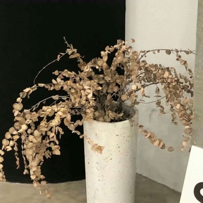 兽设冰川场景绘制福瑞交流群